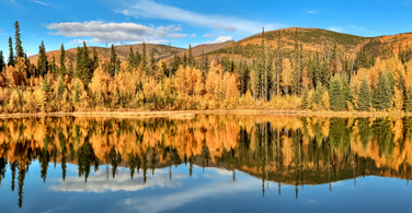 Pictured: An outdoor landscape with a lake, mountain, and trees in Alaska.