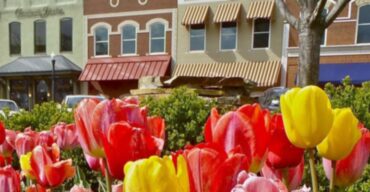 This image shows a flower garden in downtown Bentonville Arkansas. ASTA-USA provides professional translation services in this city.