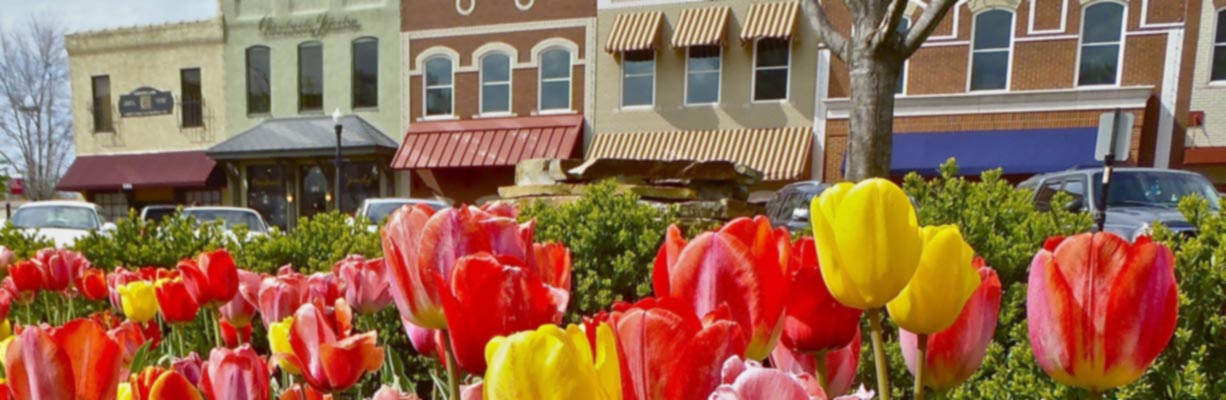 This image shows a flower garden in downtown Bentonville Arkansas. ASTA-USA provides professional translation services in this city.