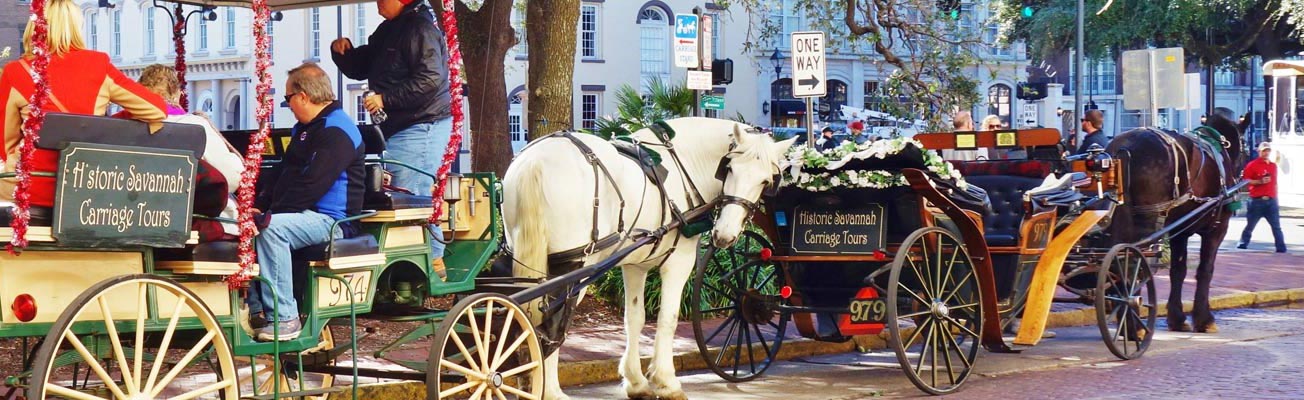 This is an image of a horse and buggy in Savannah. ASTA-USA provides professional translation services in this city.