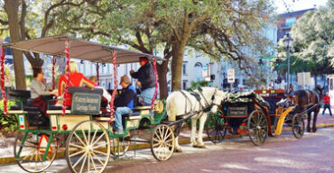 Pictured: A horse and buggy in downtown Savannah Georgia.