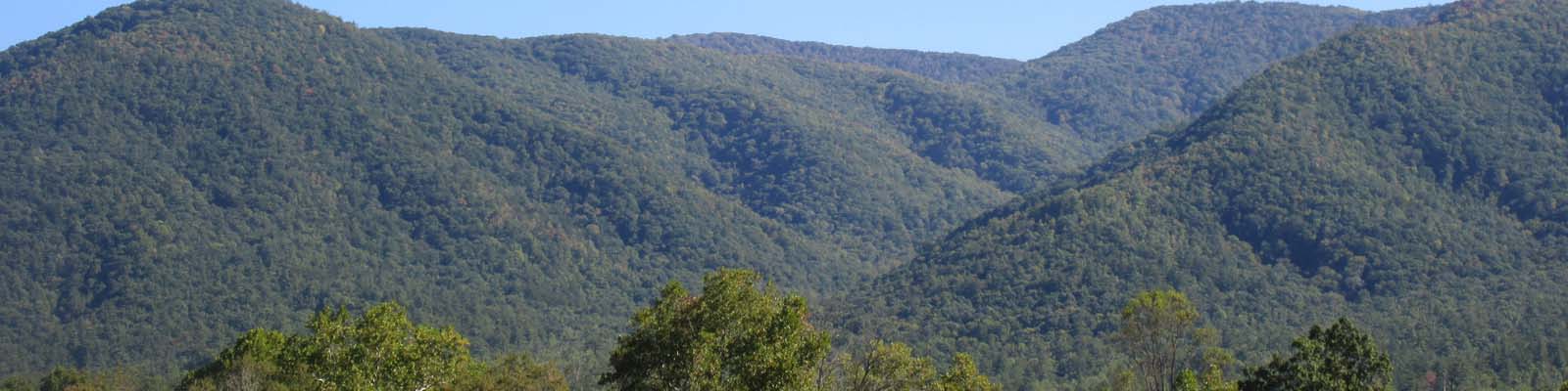 Pictured: Mountains in Tennessee.